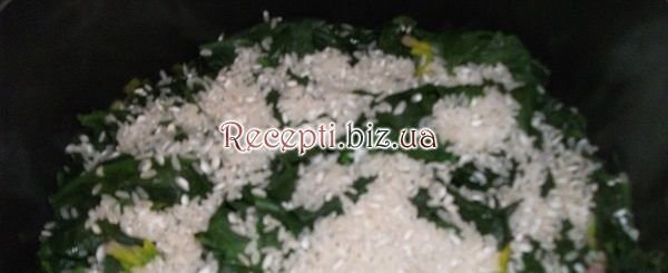 Спанакорізо - шпинат з рисом Цибуля ріпчаста