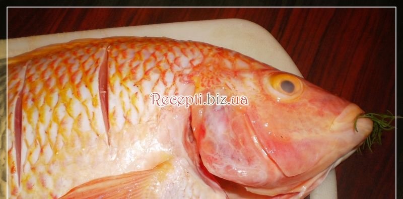 Смажена рибка Тілапія (Tilapia) Тілапія