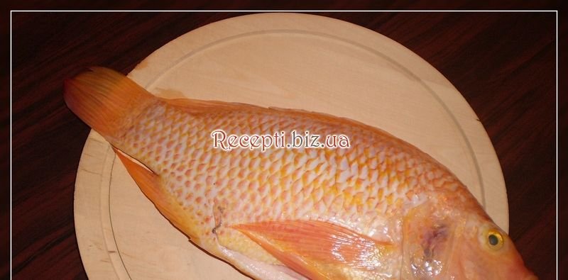 Смажена рибка Тілапія (Tilapia)