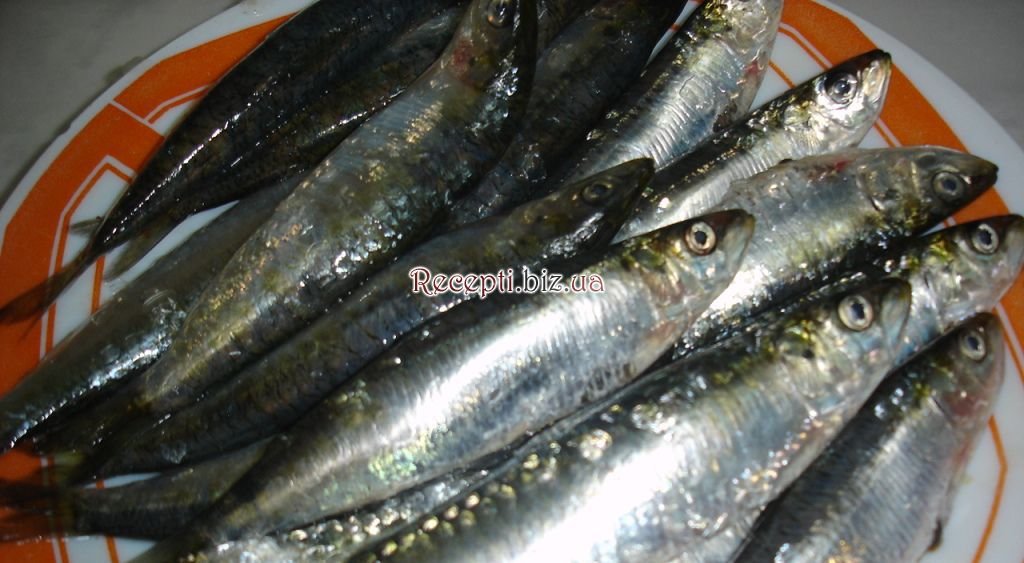 Сардина в горщику / sardina en cazuela інгредієнти