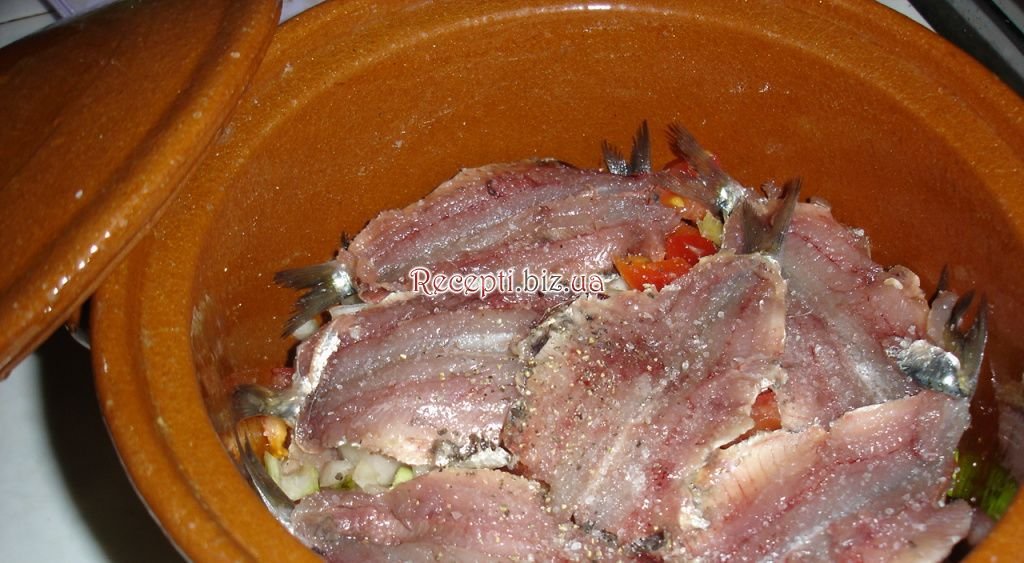 Сардина в горщику / sardina en cazuela Сардина