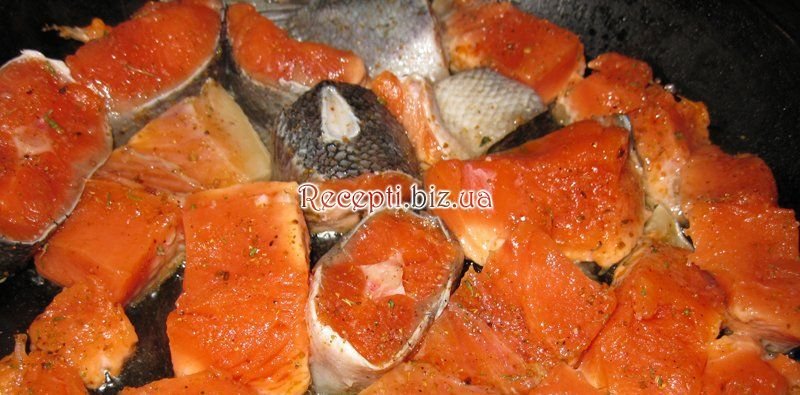 фото Червона риба під сирним соусом